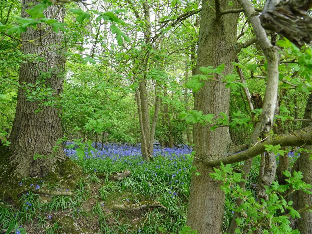 Oakwrights Apartment Terling ภายนอก รูปภาพ
